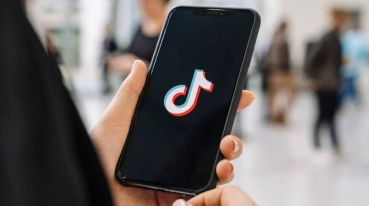 Una menor compartió en TikTok imágenes de los abusos sufridos por su hermana de 14 años