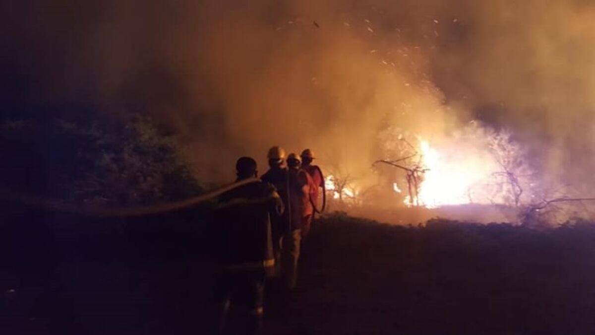 Los incendios en el norte salteño ponen el peligro al bosque nativo