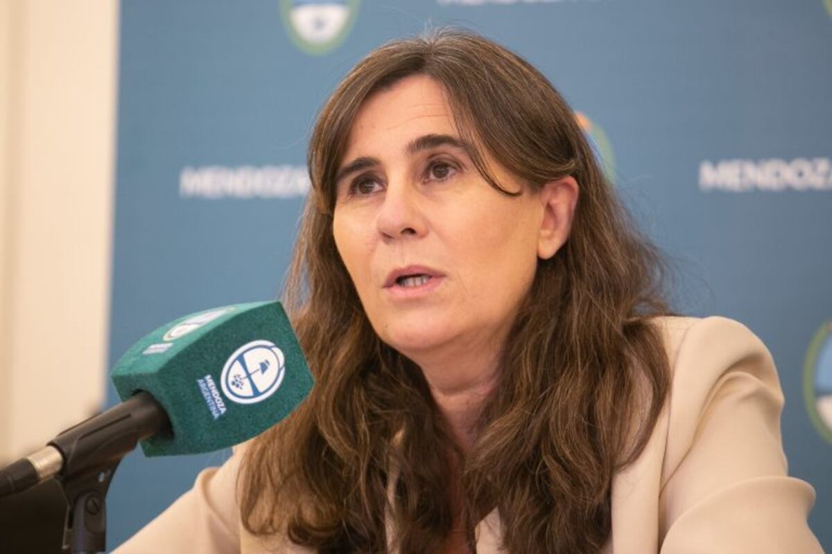 El gobierno trabaja en un certificado de inmunidad