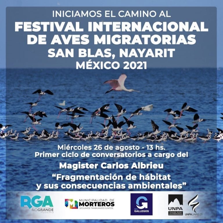 Por primera vez, Río Grande participa del Festival Internacional de Aves Migratorias (web)