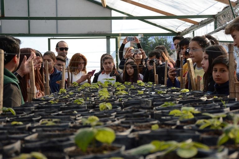 Alumnos de las escuelas generativas aprendieron sobre árboles y plantas autóctonas de San Luis.