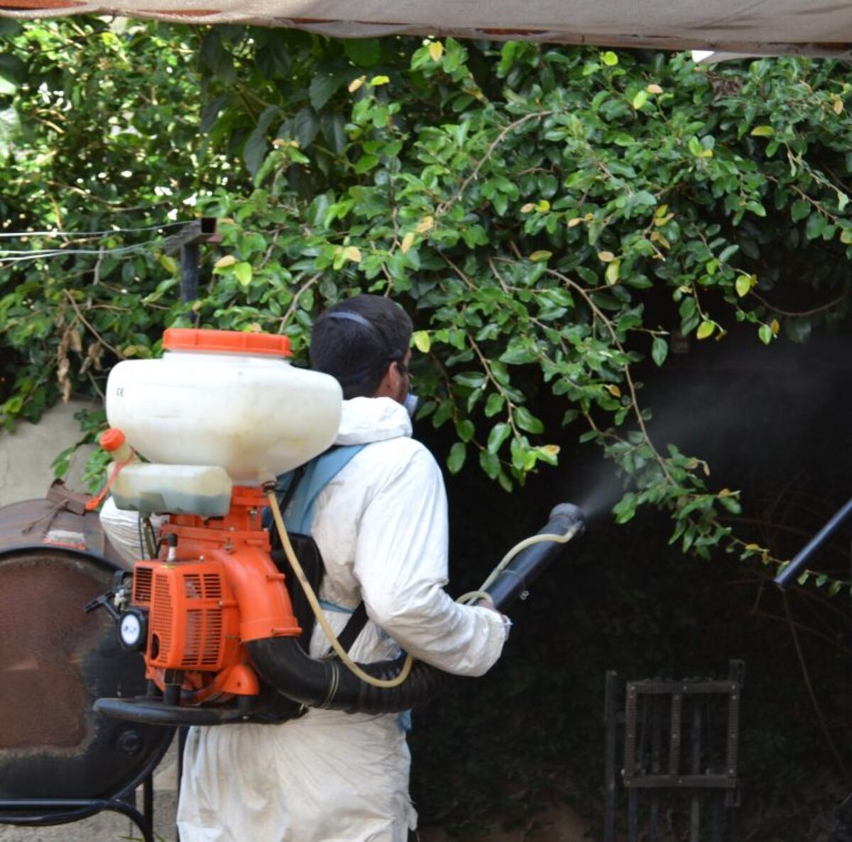 Carlos Paz: se fumigaron los barrios donde se detectaron dos casos de Dengue