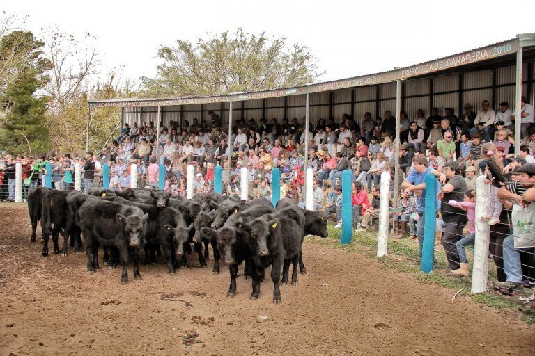 Remate, Fiesta Nacional de la Ganadería en General Alvear.