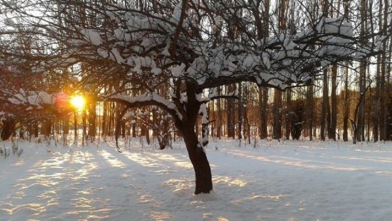 Las postales sanjuaninas de la nieve.