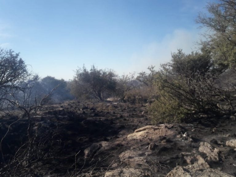 Incendio en Los Molles, San Luis.