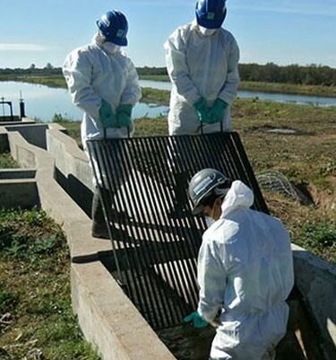 El lugar donde encontraron el cuerpo del bebé. (Web)