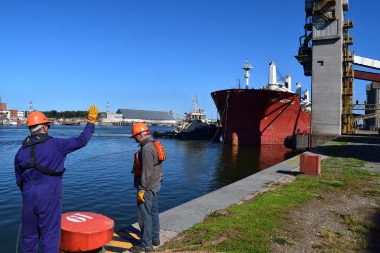 Buque en Puerto Quequén exportando girasol