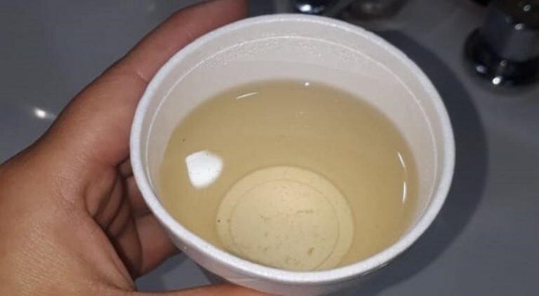 El agua que les fue provista a poco de llegar. (Foto: La Voz)