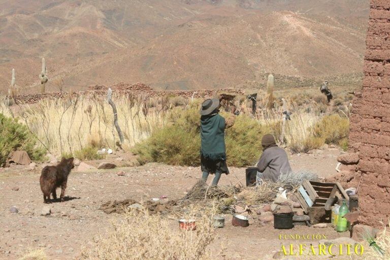 Doña Teodosia Viveros: ejemplo de resiliencia en la Puna salteña. (Fundación Alfarcito)