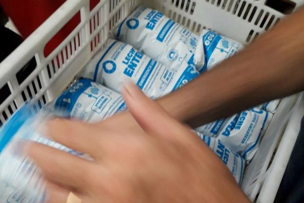Impulsan un proyecto para que la leche pague 10,5% de IVA y podría impactar en los precios