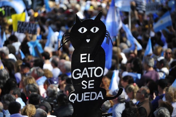 "Mira que lindo el gatito que vino a acompañarme", bromeó el Presidente. (Foto:Clarín)