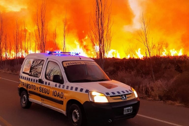 Incendio en El Carrizal, Mendoza