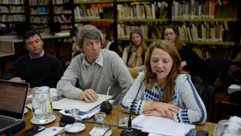 El concejal Ramón Chiocconi es el autor de la iniciativa que fue rechazada. Foto: A. Leiva.