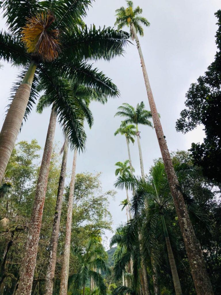 Restaurante MEE en Río de Janeiro