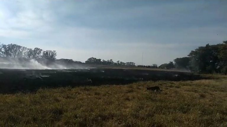 Incendio en un campo de la ciudad