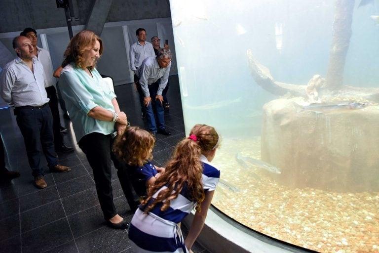 El Acuario planificó una serie de actividades especiales para vacaciones de invierno. (Archivo)