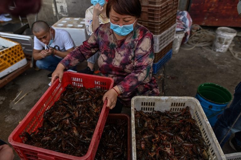 El mercado de Wuhan en abril de 2020, luego de que China levantara la cuarentena (Créditos: AFP).