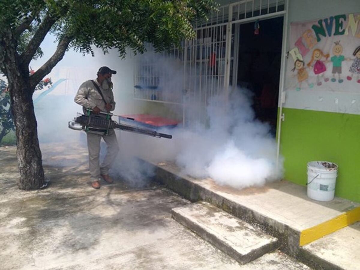 Eldorado también se suma a la fumigación de escuelas antes del inicio del ciclo lectivo