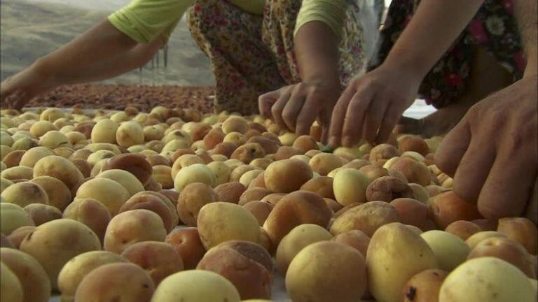 Habrá espectáculos artísticos, stands con feriantes, concursos y degustaciones.