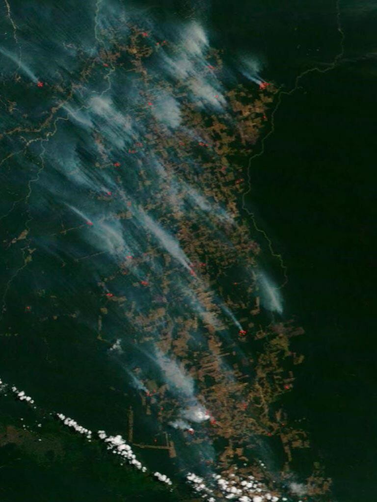 Incendios en el Amazonas