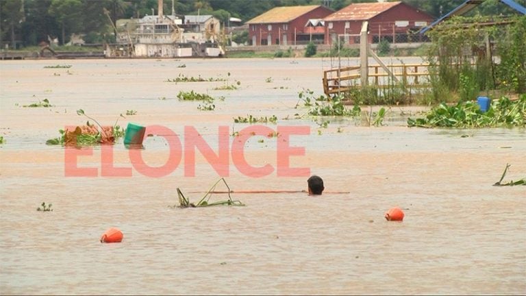 Tras el temporal, los camalotes invadieron el balneario municipal de Paraná. Fotos: El once