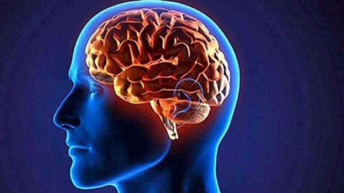 22 de Julio: Día Mundial del Cerebro