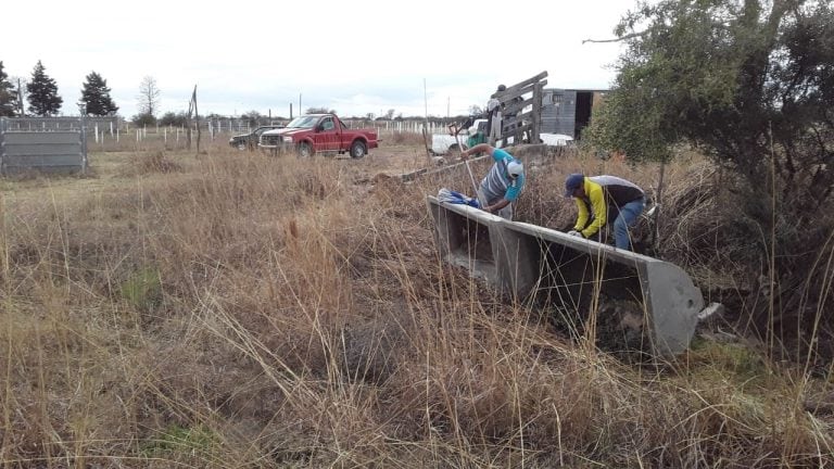 Trabajos en la Sociedad Rural de Pocho