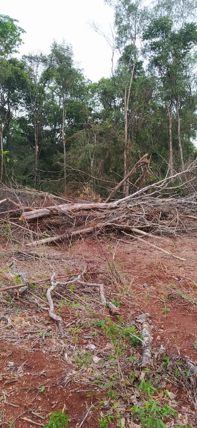 Detectaron un rozado ilegal en Campo Grande.