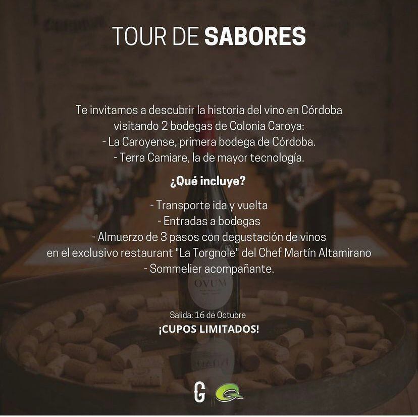 Conocé la historia del Vino en Córdoba, recorriendo viñedos, circuitos religiosos y sabores regionales.