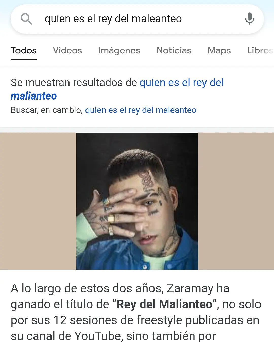 Zaramay en Google.