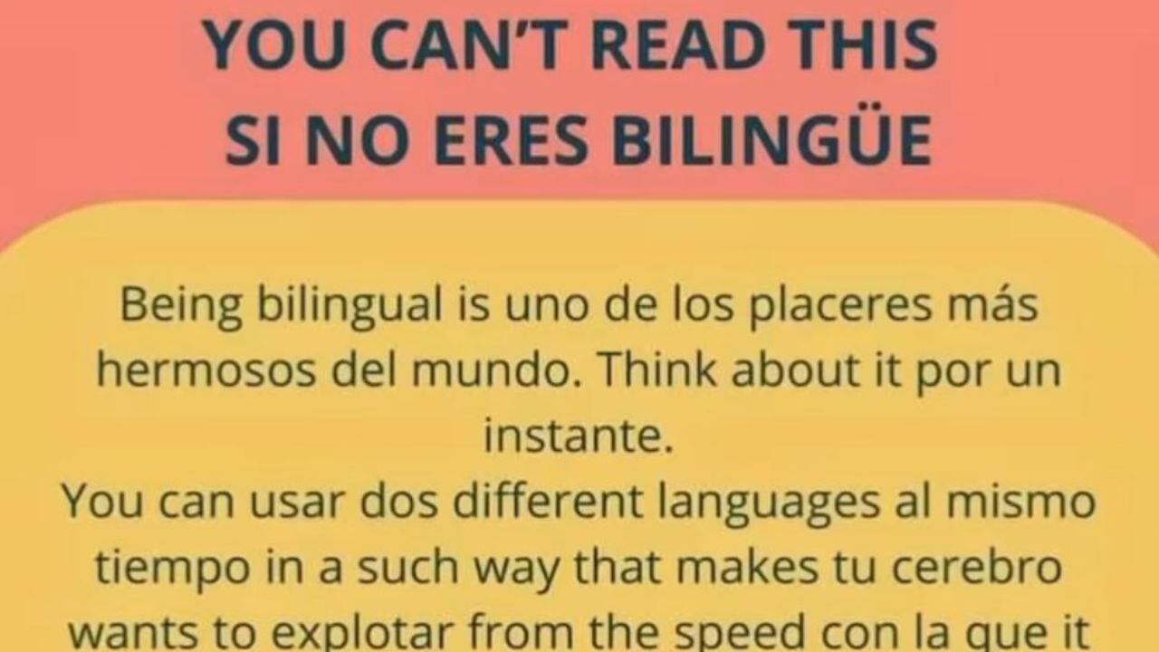 SOLO para BILINGÜES: el acertijo visual que demuestra tu nivel de inglés