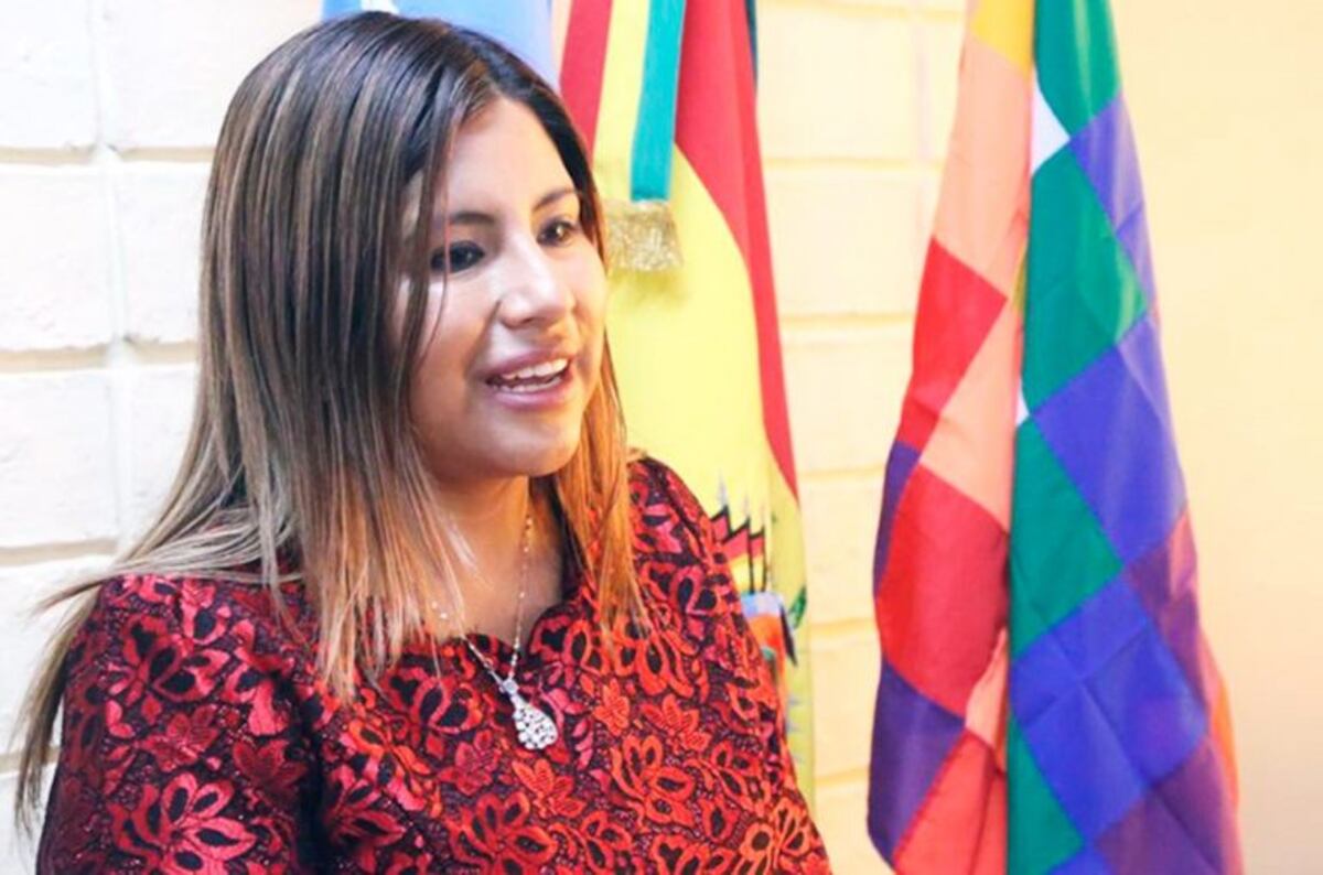 Desplazaron a la cónsul de Bolivia en Rosario tras expresar su respaldo a Evo Morales