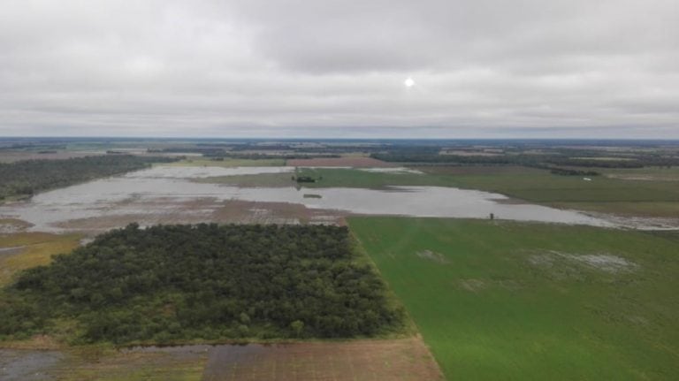 Los campos chaqueños se encuentran muy afectados por las abundantes lluvias. (Prensa Gobierno provincial)