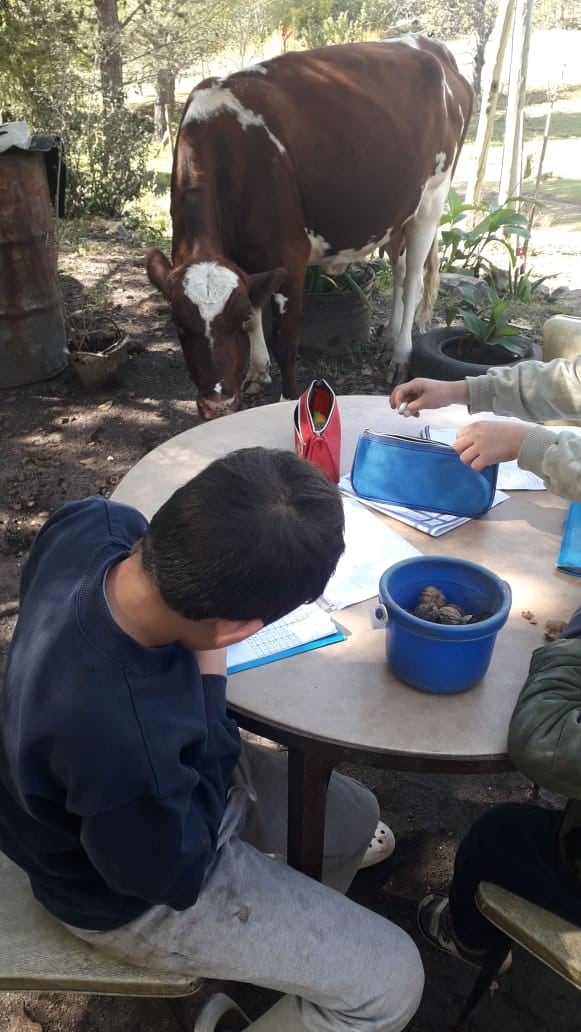 Niño estudiando desde una zona rural carlospacense.