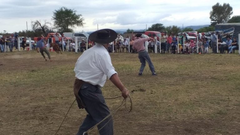 Expo pampa de Pocho