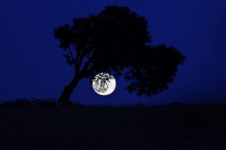 Así se vio en Montemor-o-novo (Portugal). EFE/EPA/NUNO VEIGA