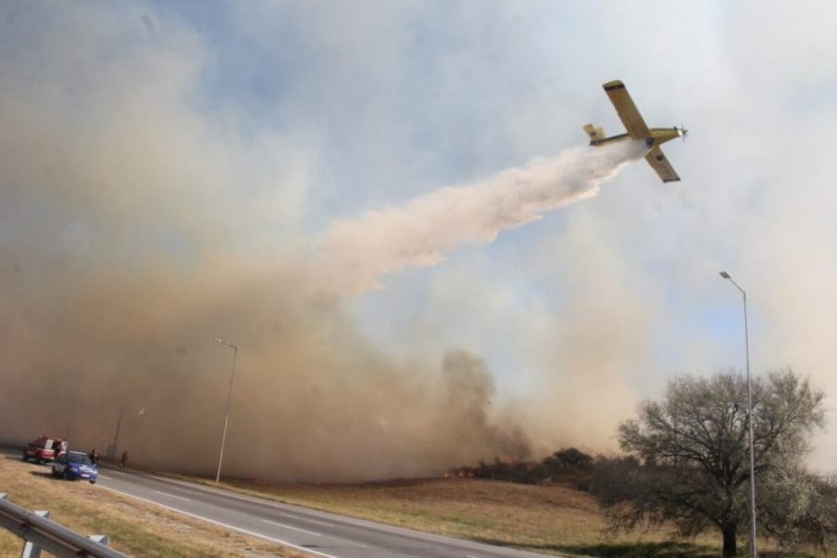 Declararon "desastre agropecuario" en las zonas afectadas por los incendios
