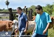 Técnicos del Senasa en el campo donde vacunaron contra la rabia paresiante. (La Región)