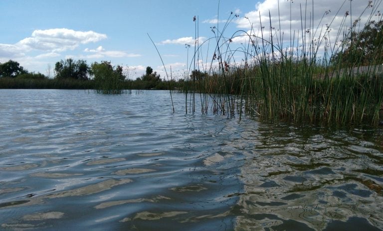 Laguna Soria Lavalle