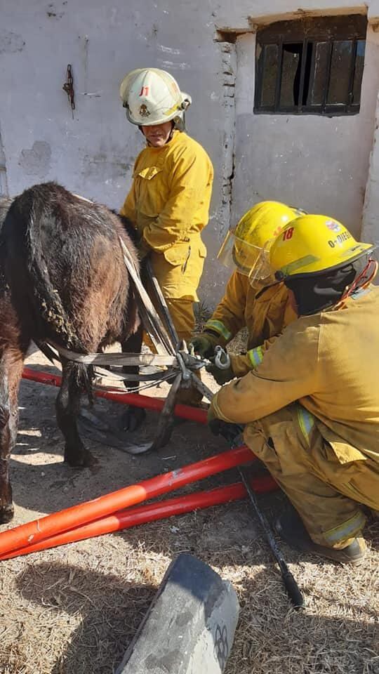 Fotos Bomberos Voluntarios de Frontera