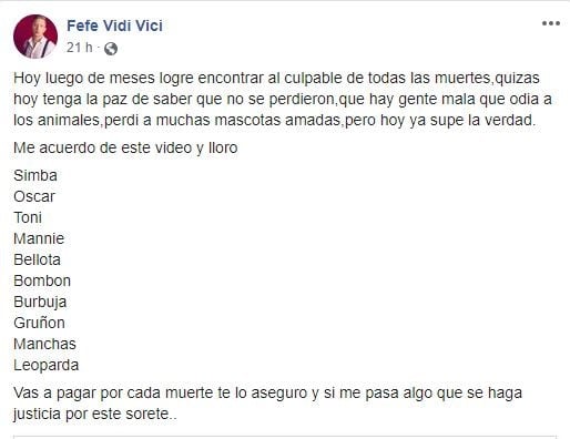 Denunciaron a un sujeto por robarse los gatos de un vecino y dárselos de comer a su perro.