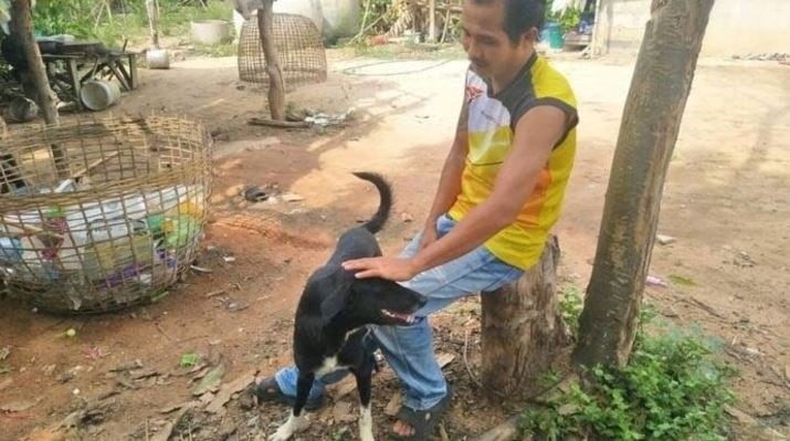 Un perro encontró y rescató a un bebé que había sido enterrado vivo