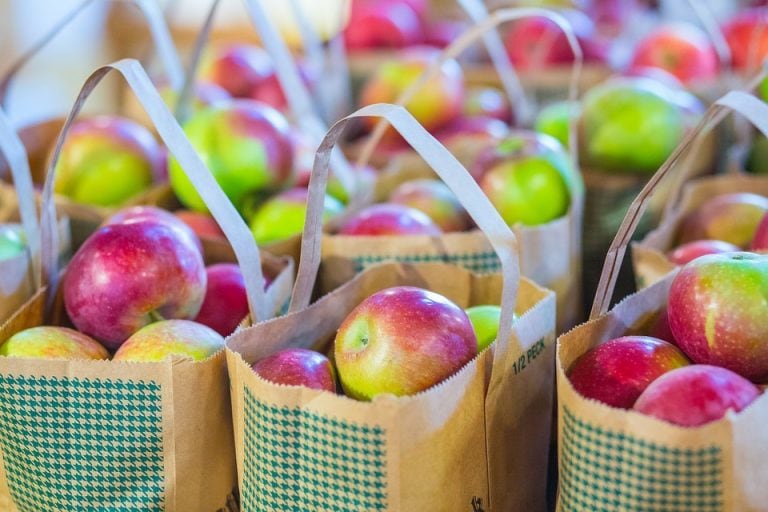 Bolsa de frutas (Foto:Web)