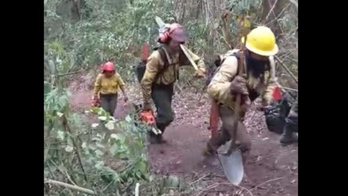 Fuego inclemente: más 18.000 hectáreas quemadas en las Yungas jujeñas