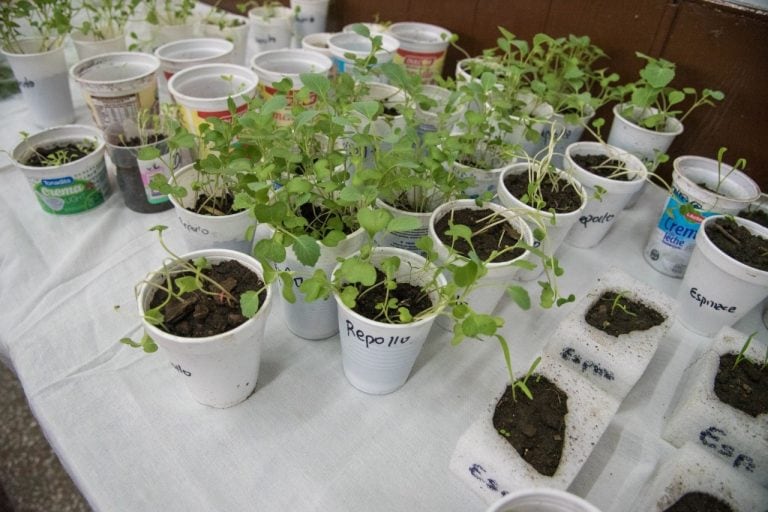 “Alta Gracia más verde”: se brindó el taller de huerta orgánica.