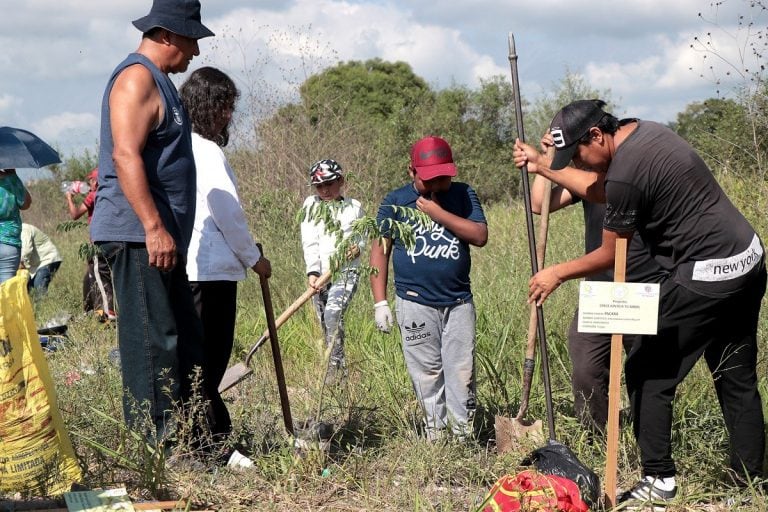 Universidad, municipio y escuela implementan el proyecto “Crece junto a tu árbol” en Palpalá.