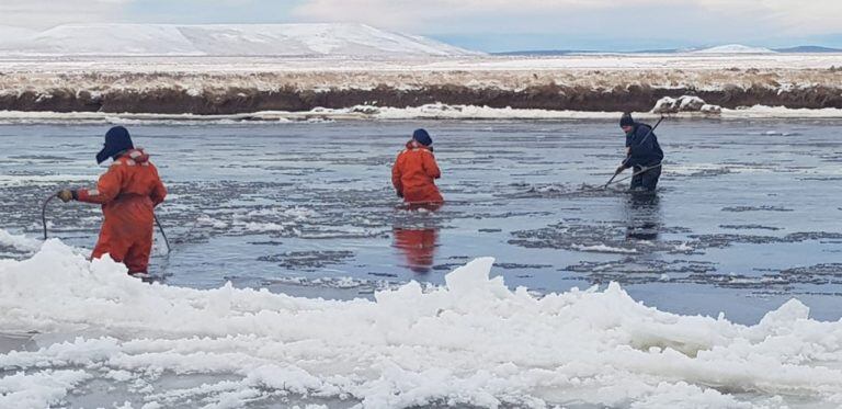 Operativo en la Toma de agua, Río Grande