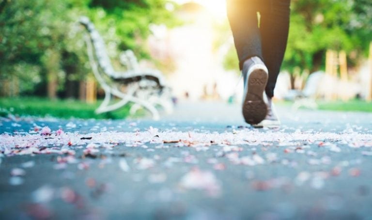 Un clima más que favorable para hacer actividades al aire libre.