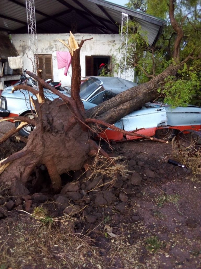 Tornado en el norte de Córdoba (Sociedad Rural de Jesús María)