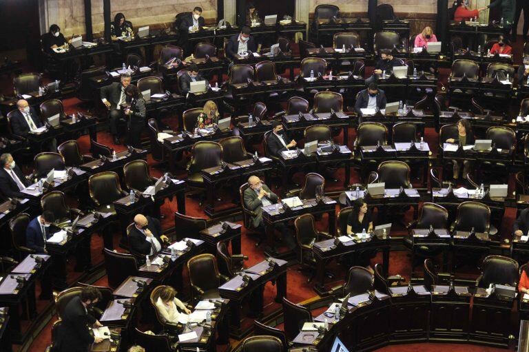 Sesión en la camara de Diputados. Foto: Federico Lopez Claro